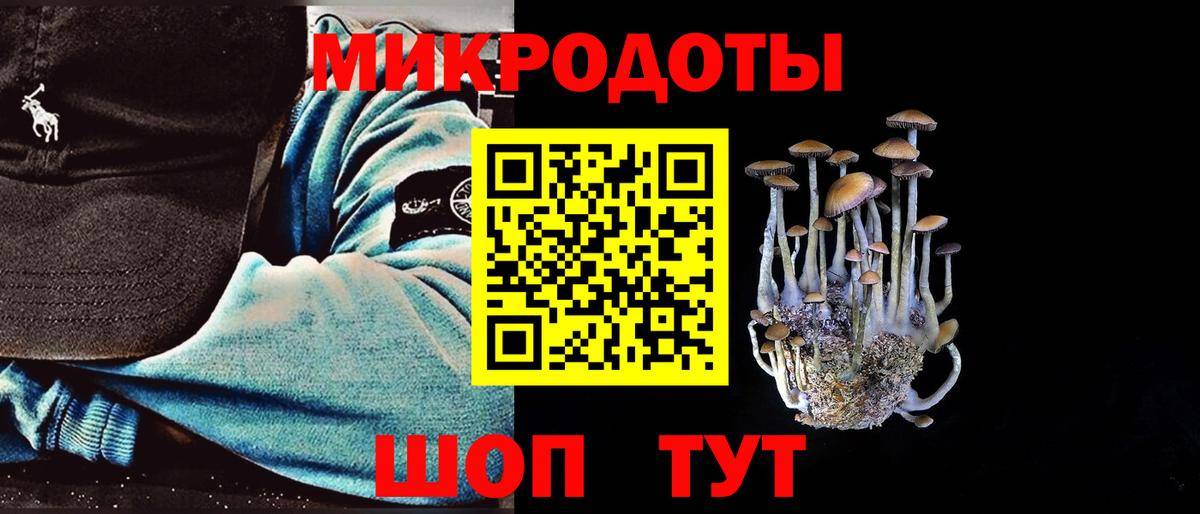 Галлюциногенные грибы Psilocybe  Галлюциногенные грибы мицелий  Железноводск  цена   Вход с VPN 
